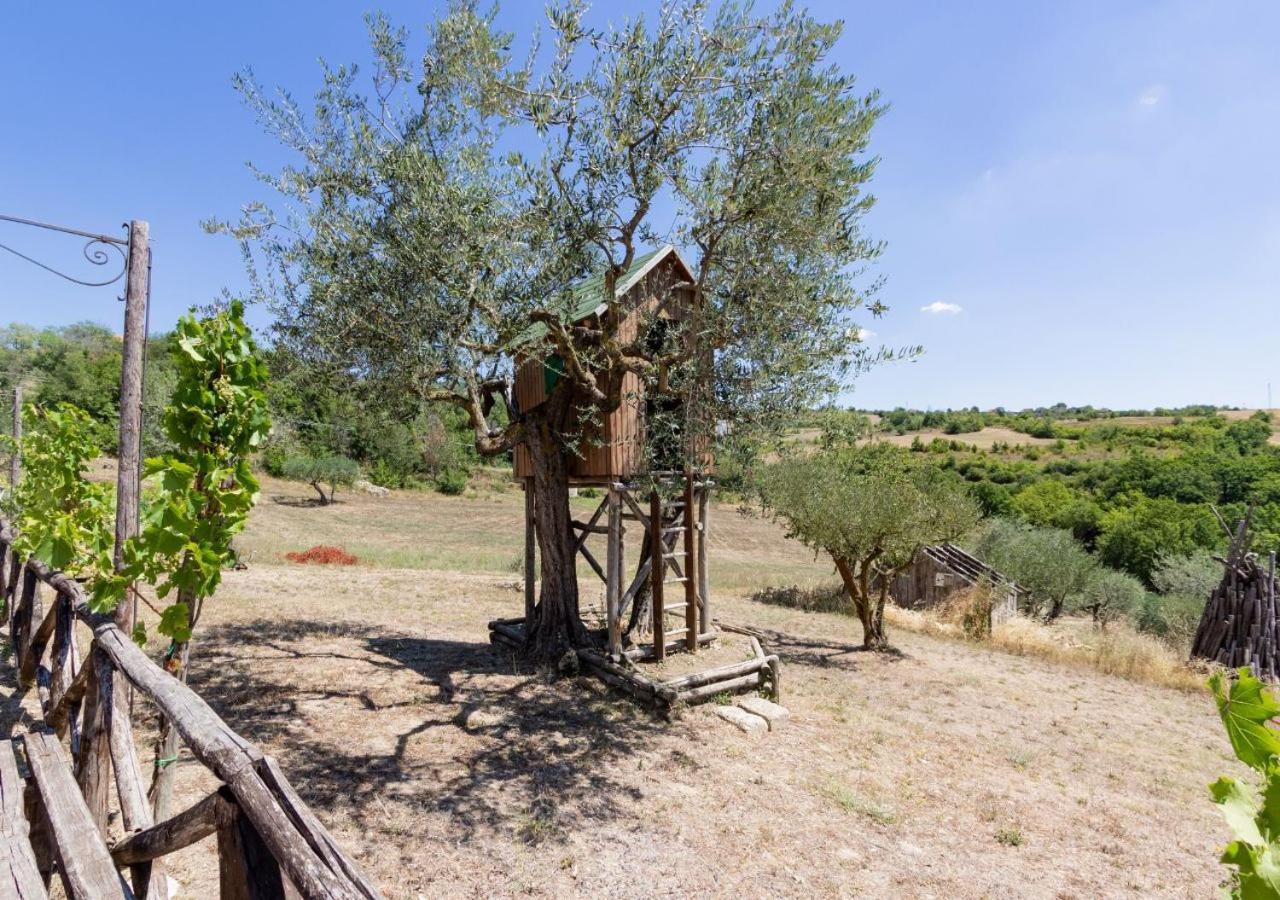 Agriturismo Torre Gialluise Villa Gesualdo Exterior photo